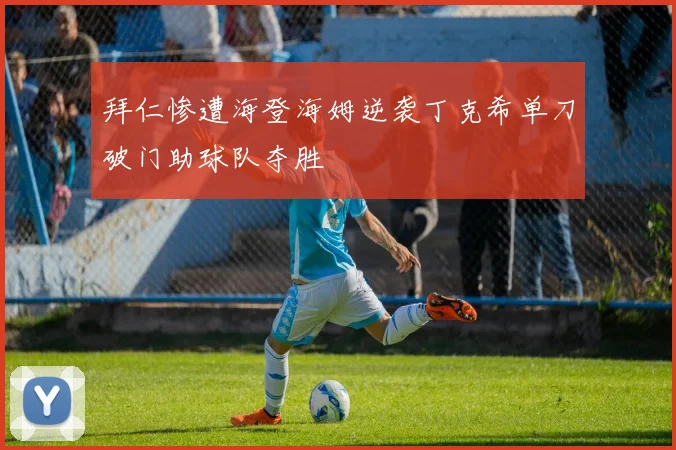 拜仁惨遭海登海姆逆袭丁克希单刀破门助球队夺胜