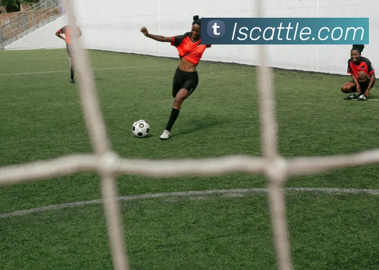 辅助工具